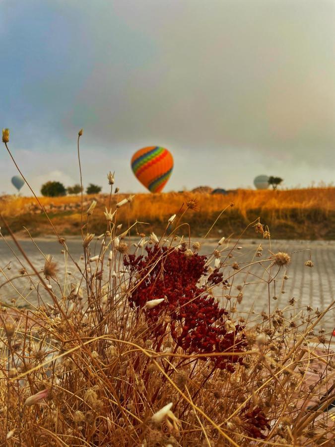 Soleado Cappadocia Hotel Üçhisar Buitenkant foto